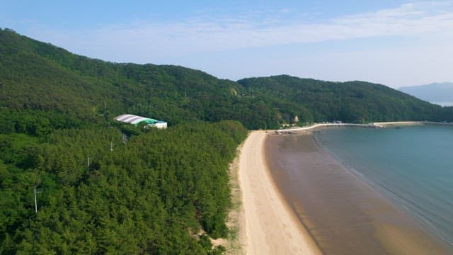 Relaxing Camping Dcenery with Peaceful Forest and Beach