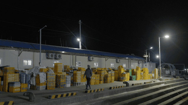 Baskets piled up in front of warehouse at early morning fish market and workers