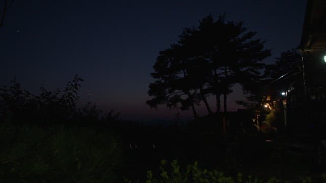 어둠에 내려앉은 숲속 오두막