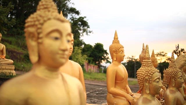 고요한 야외에 있는 부처상