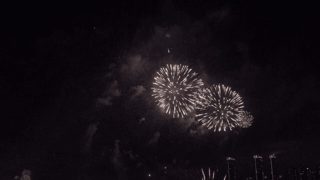 화려한 색감의 밤하늘 불꽃놀이