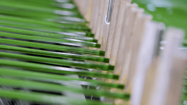 빠르게 기계에서 추출되는 녹색 실들