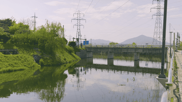 Tranquil river where bridges and greenery harmonize.