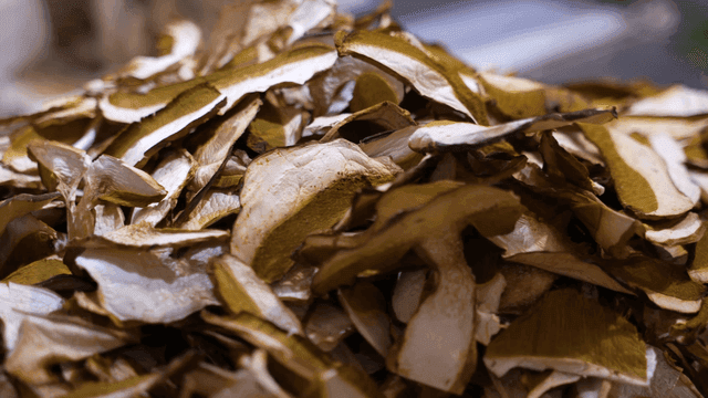Pile of dried mushrooms
