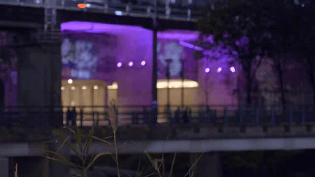 Plants on a lighted walkway