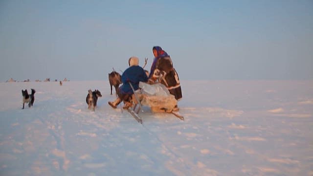 Sled Journey Across Snowy Tundra