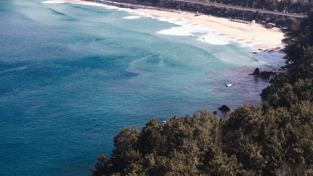 푸른 숲과 해안선의 경치