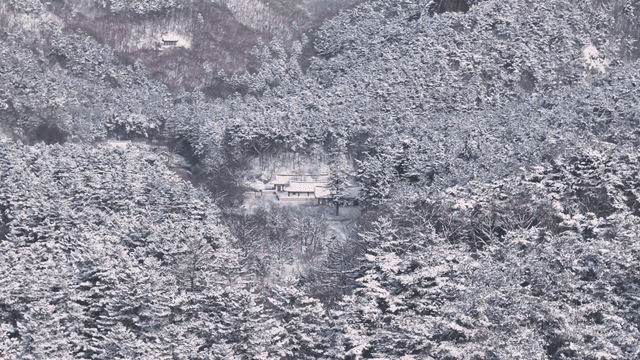 Snow-covered forest with traditional Korean houses