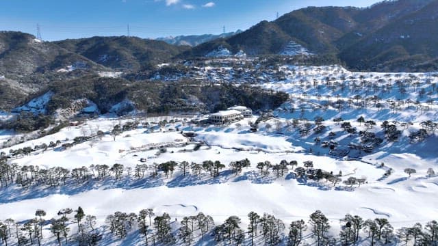 눈 덮인 산과 상록수 풍경