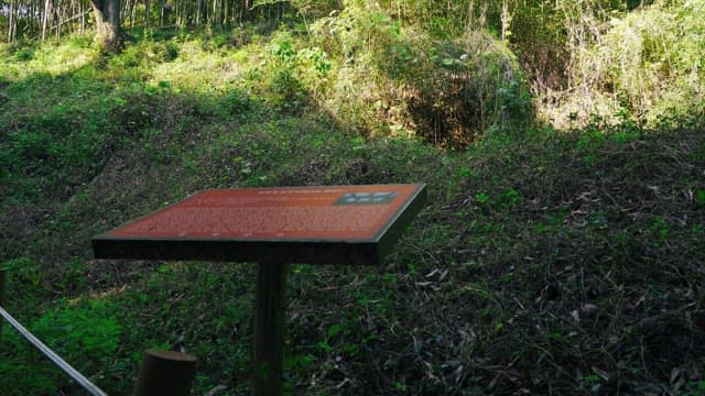 무성한 숲속의 안내 표지판