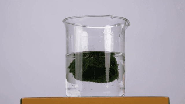 Beaker containing seaweed in water