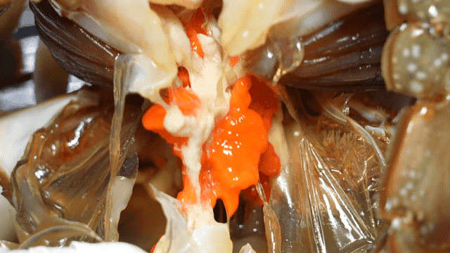 Hands separating shells of fermented soy sauce marinated crabs