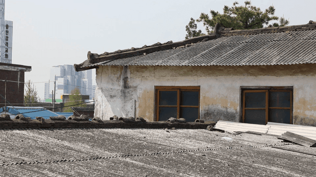 배경에 현대 건물이 있는 오래된 집