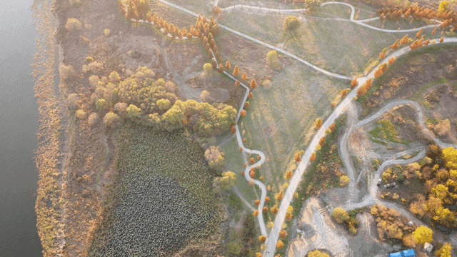 Aerial view of a park with winding paths