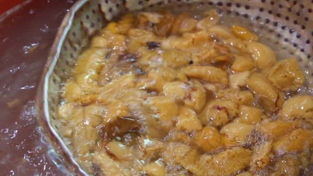 신선한 성게를 물에 씻는 사람