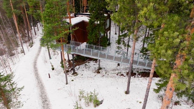 Snowy forest with a modern cabin