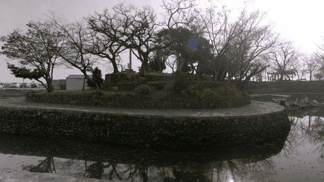 Tranquil park with trees and lake