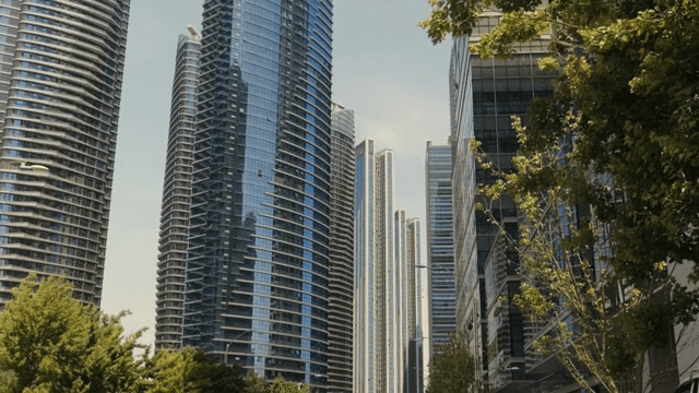 현대적인 고층 건물과 녹색 나무들