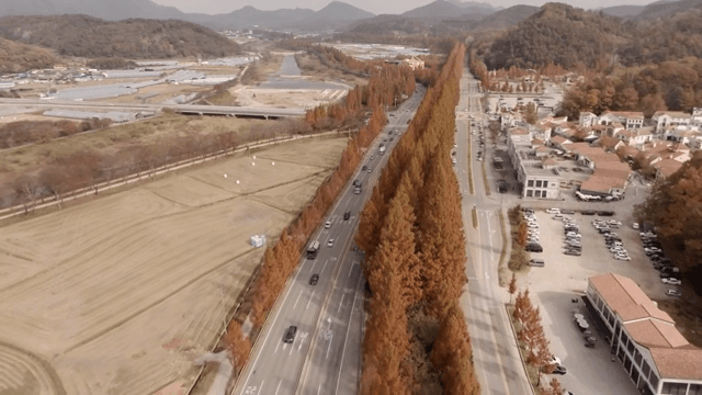 Scenic road lined with autumn trees