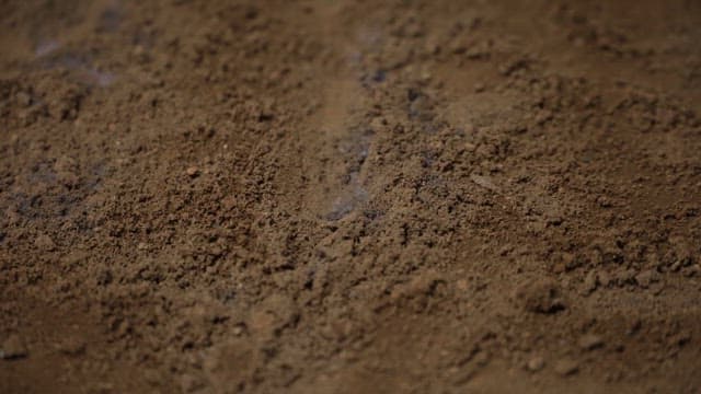 흙 위에서 피어오르는 불꽃