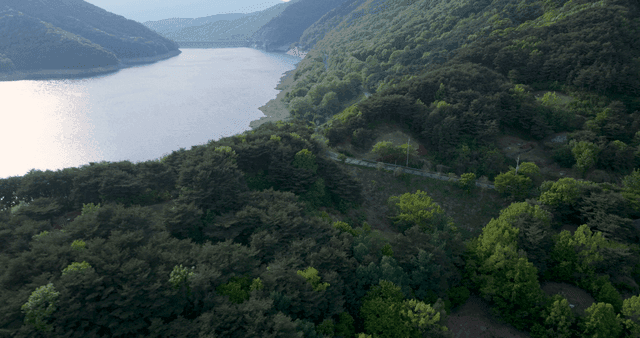 A winding road by a serene lake