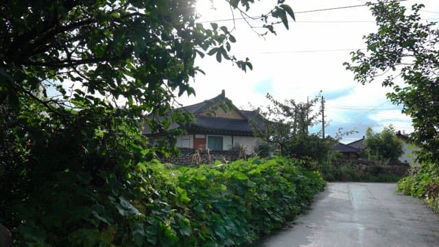 Traditional house amidst lush greenery on a sunny day