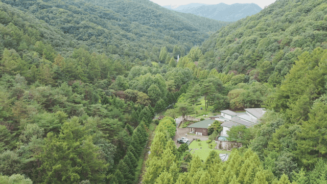 숲으로 둘러싸인 산 속 마을