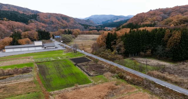Autumn landscape with winding road