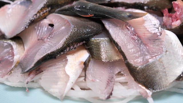 신선한 전어회 한 접시