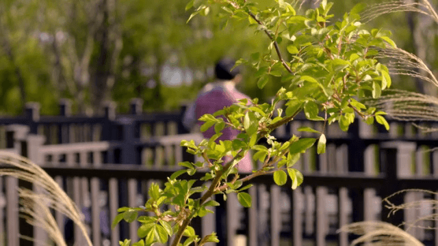 나무 데크에서 사진을 찍는 사람의 뒷모습