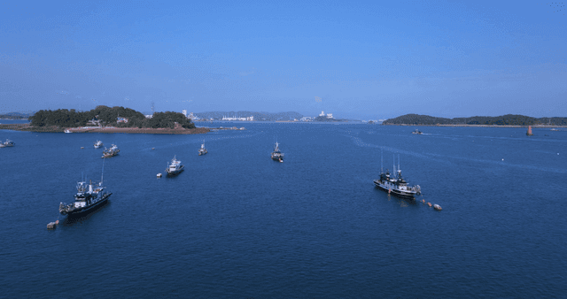 Bridges and boats on calm sea