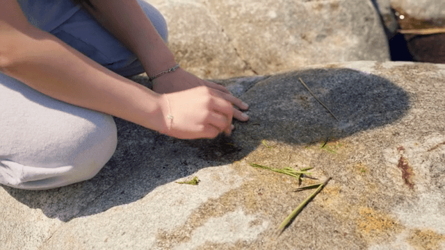 바위 위에서 풀을 갖고 노는 아이