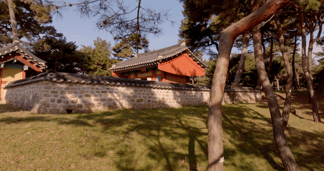 Traditional Korean building in a forest
