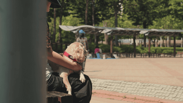 공원에서 강아지와 앉아 있는 사람