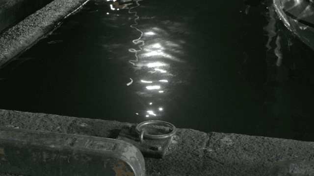 Night sea waves illuminated by lights