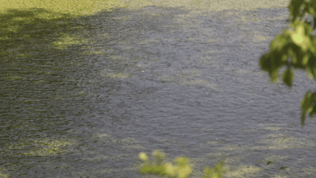 River with gentle waves