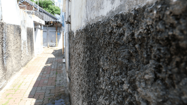 울퉁불퉁한 벽이 있는 좁은 골목길