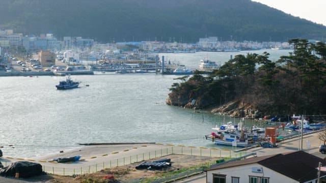 Coastal town with bustling harbor in daylight