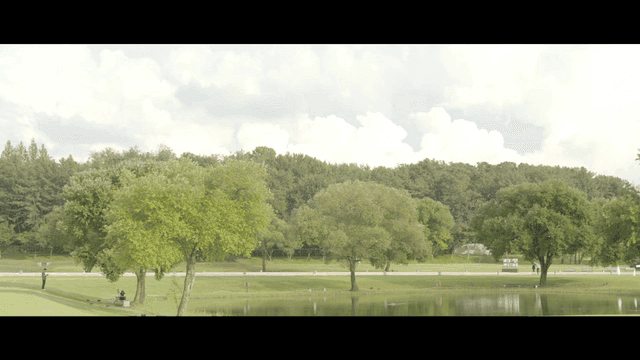 Quiet park with trees and pond