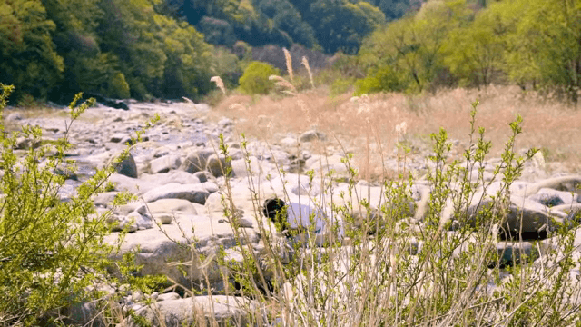 바위가 많은 강바닥을 탐험하는 사람