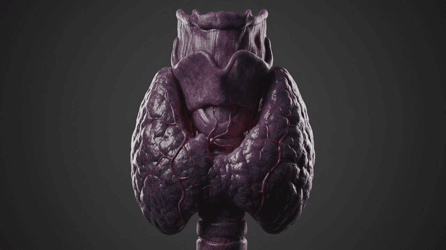 Detailed view of diseased human thyroid