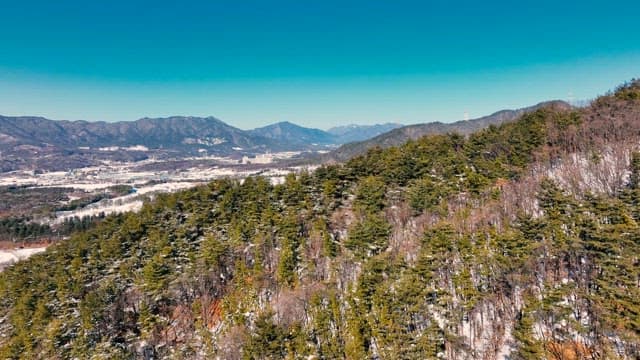 Snowy Mountain Landscape with Trees