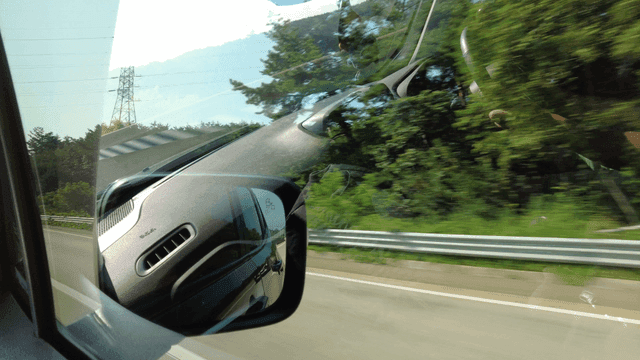 Driving through a scenic green highway