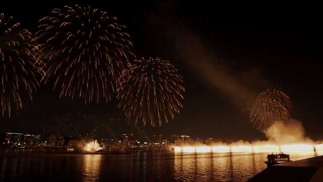 Fireworks over city skyline by river at night