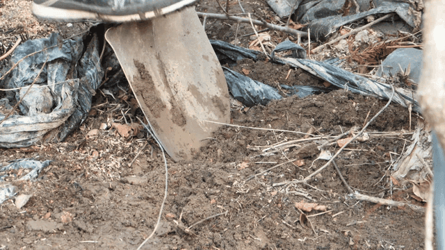 흙을 파고 있는 삽