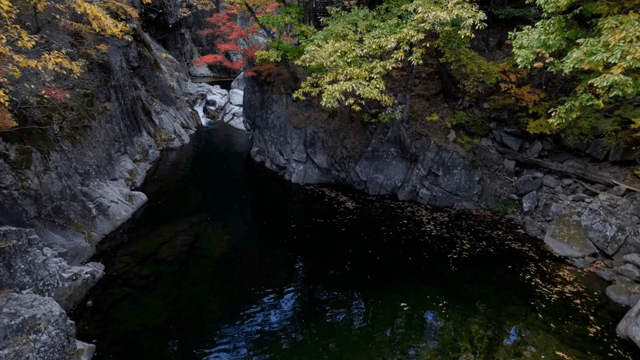 바위 사이로 흐르는 작은 시냇물