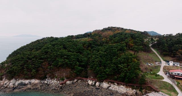 Serene Coastal Landscape with Forest and Sea