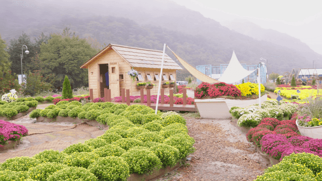 작은 나무 집을 둘러싼 형형색색의 둥근 꽃동산 정원