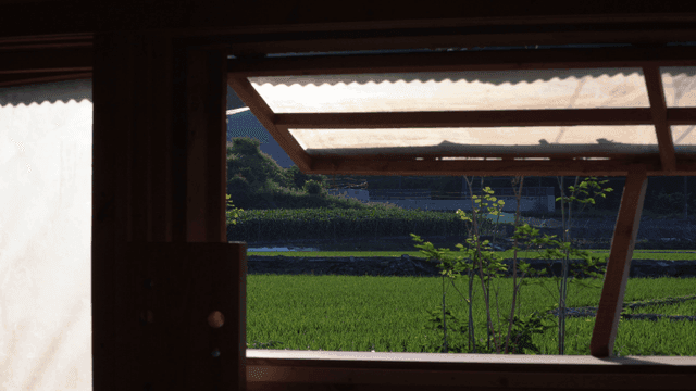농촌 나무 창문을 통해 본 초록 들판