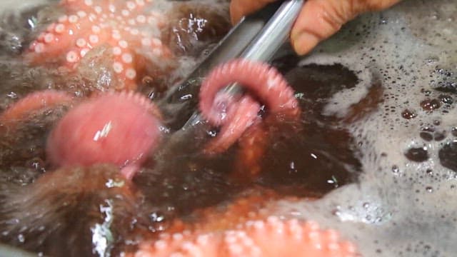 Octopus being boiled in a pot with boiling water